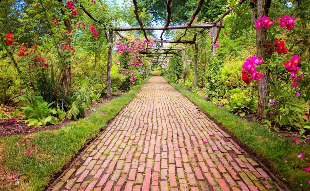 Brick Masonry Repair Near Me